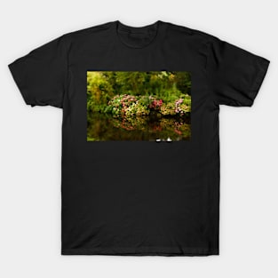 Along an Irish River T-Shirt